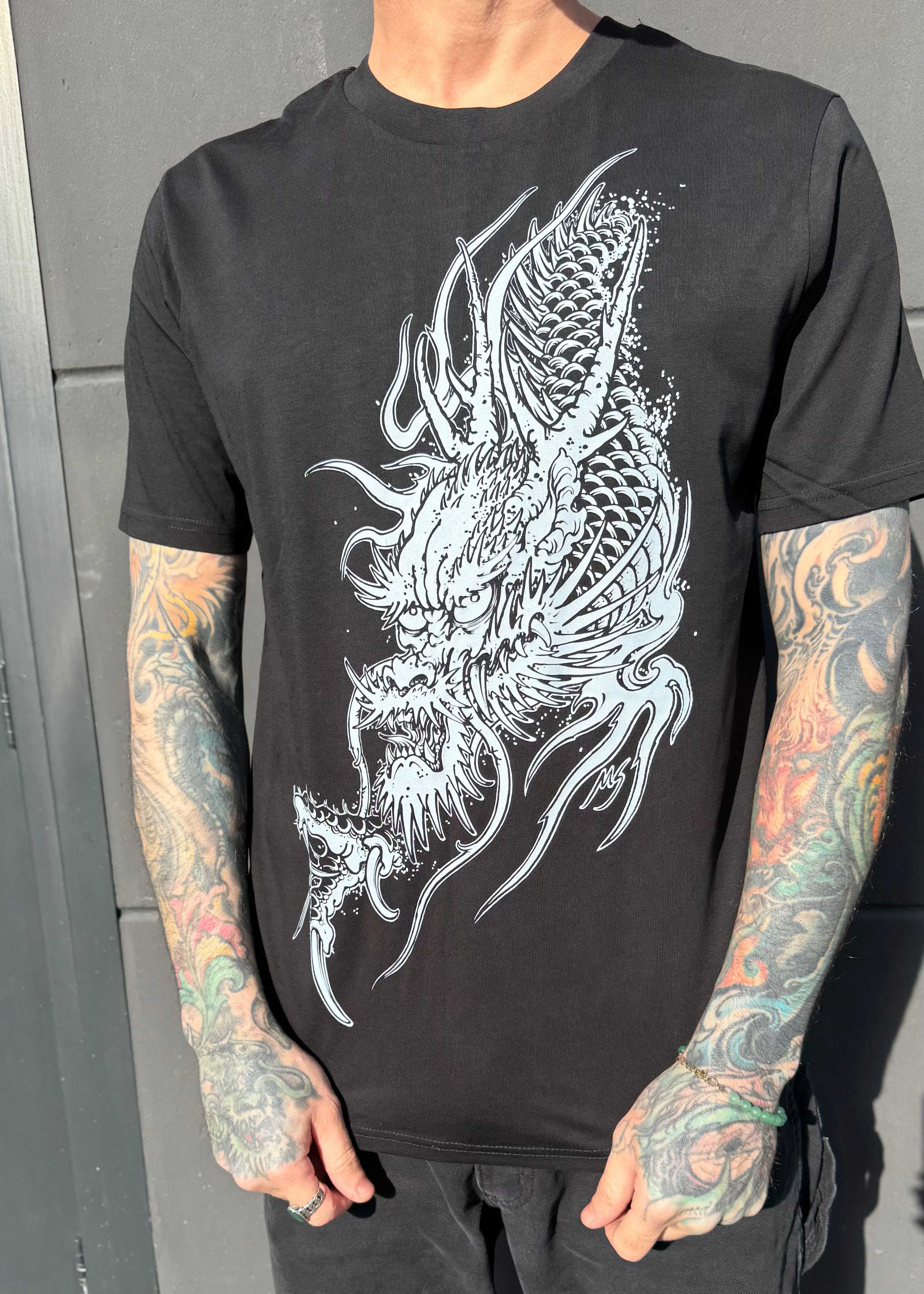dragon from the sky