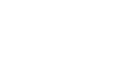 Bold Hearts Collective